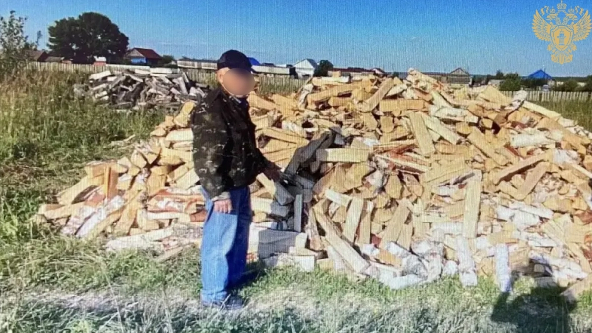 В Алатыре мужчину отдадут под суд за незаконную рубку берез на дрова