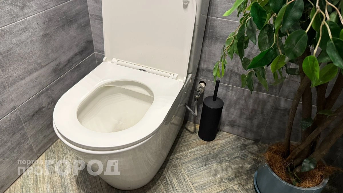 Можно ли смывать воду с открытой крышкой унитаза: запомните ответ навсегда