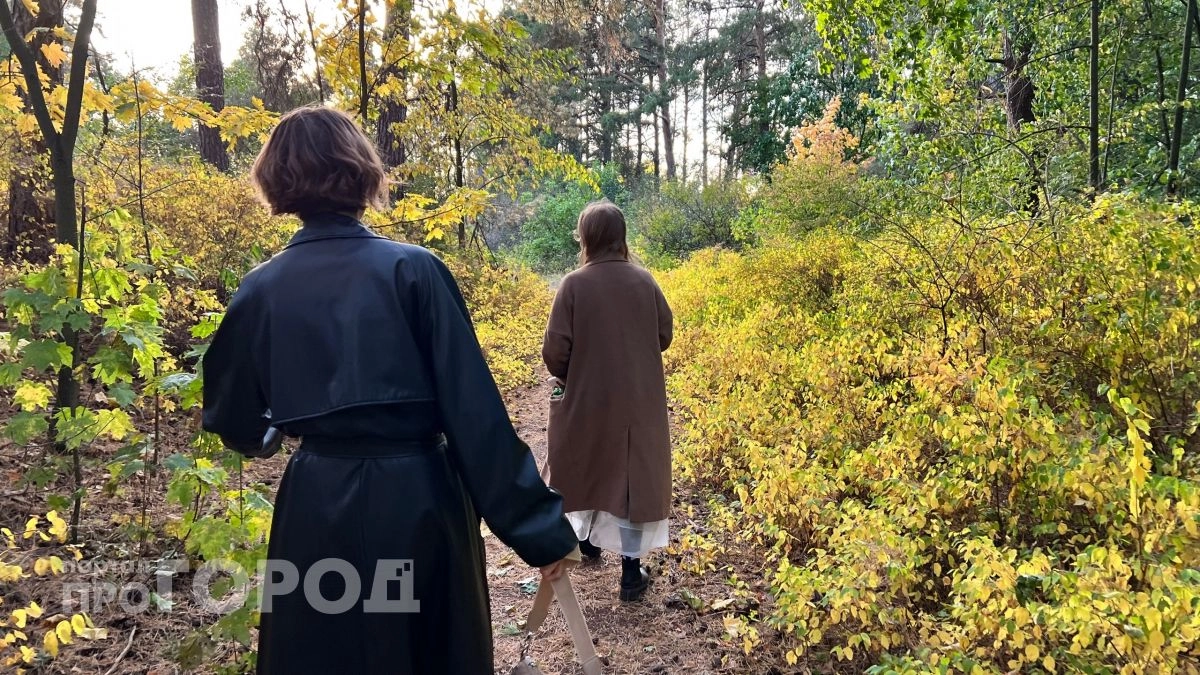 Тепло до +19 градусов и без осадков: погода в Новочебоксарске 20 сентября