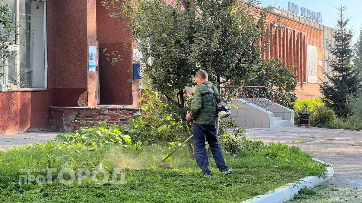 Медианная зарплата в Чувашии составила почти 55 тысяч рублей