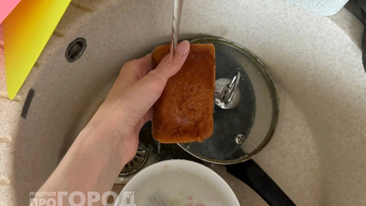 Раз в неделю или в месяц: эксперт объяснил, как часто менять губку для посуды