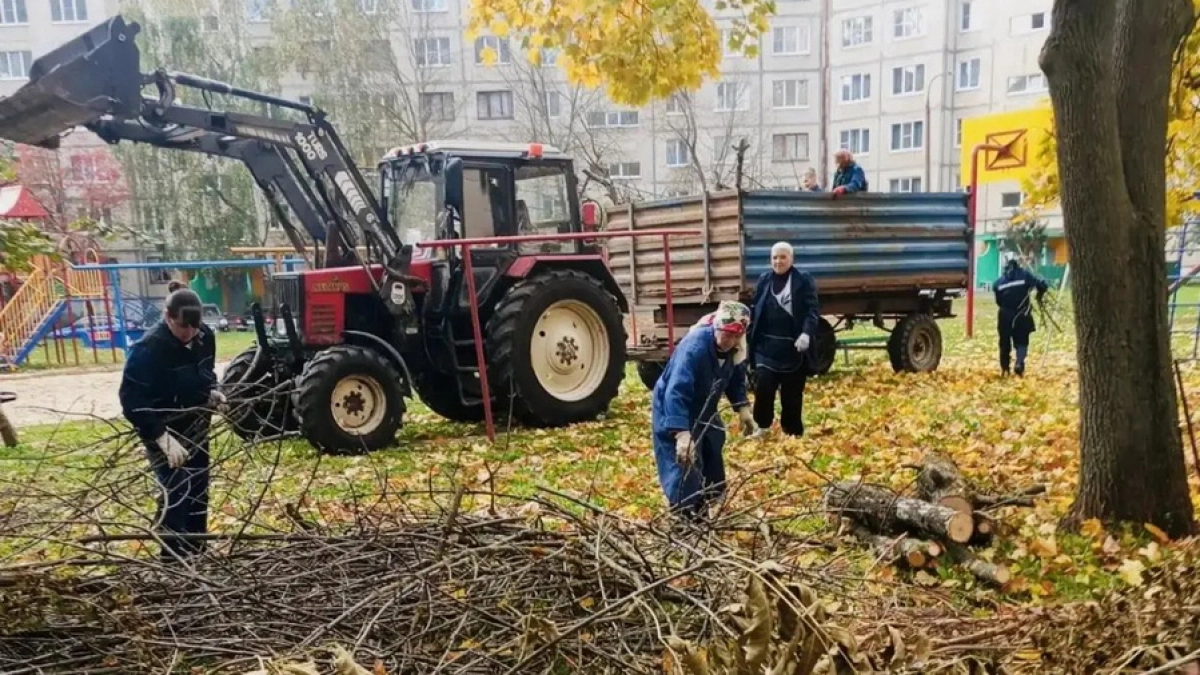 Экологический месячник в Чебоксарах продлится до 3 октября