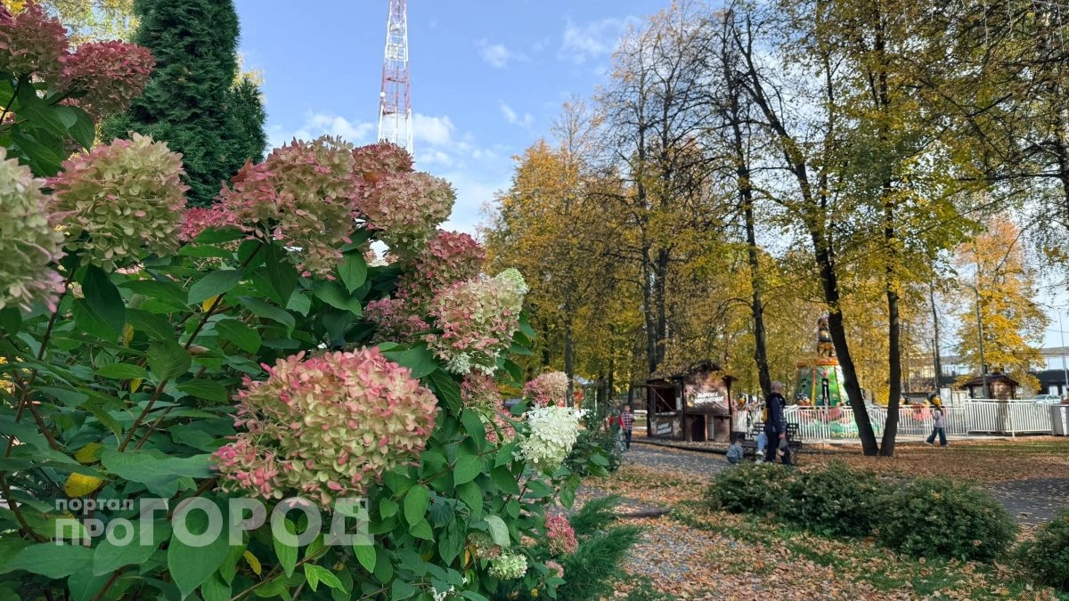 Аномальное тепло до +23 градусов удержится в Чувашии 24 сентября