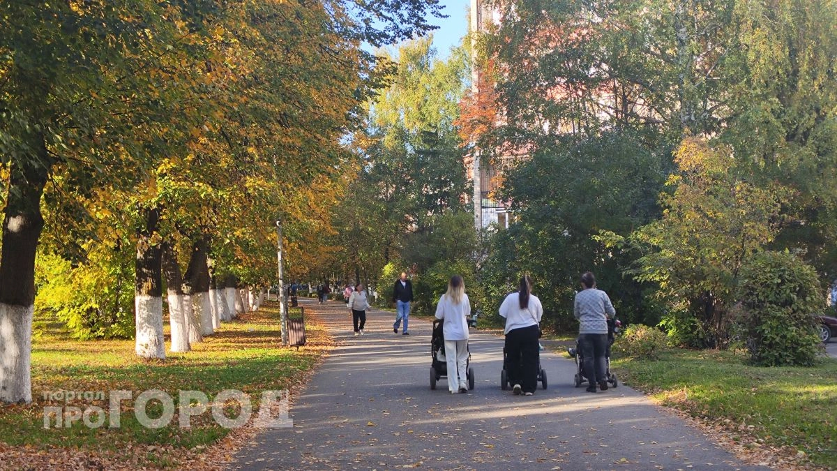 В воскресенье жителей Чувашии ждет теплая и сухая погода: температура до +19 без осадков