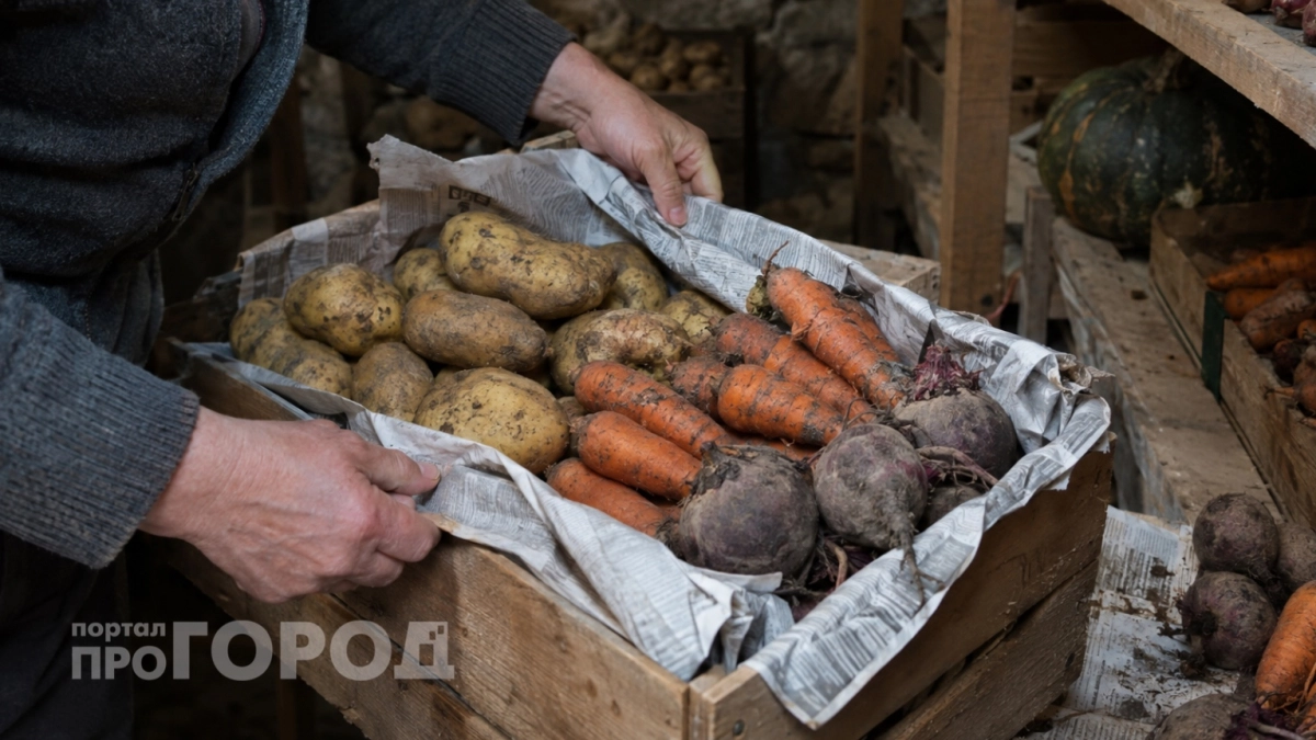 Овощи пролежат в подвале до мая: секрет с обычной газетой, который не дает им гнить