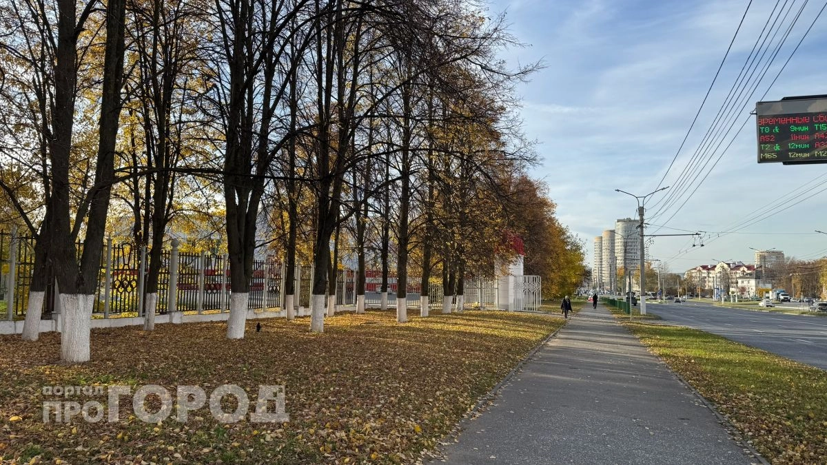 После ночных заморозков в воскресенье в Чувашии будет сухо и ясно