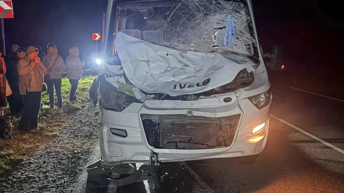 В Чувашии туристический автобус с 17 пассажирами сбил лося