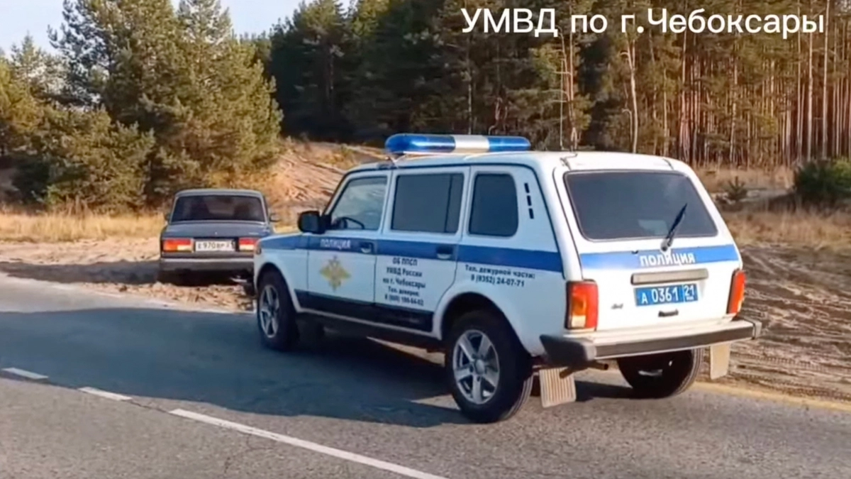 Чебоксарские полицейские спасли грибников, увязших в лесных песках на легковушке