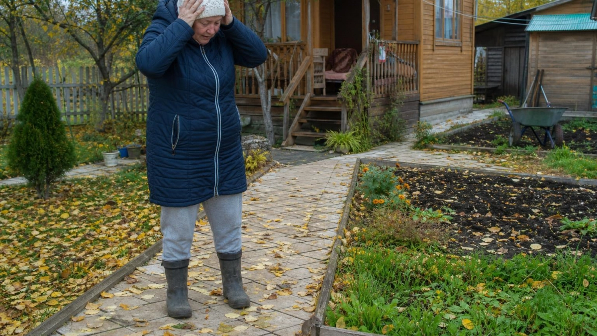 Мыши выбирают себе дом на зиму по одному критерию: отпугиваем их раз и навсегда