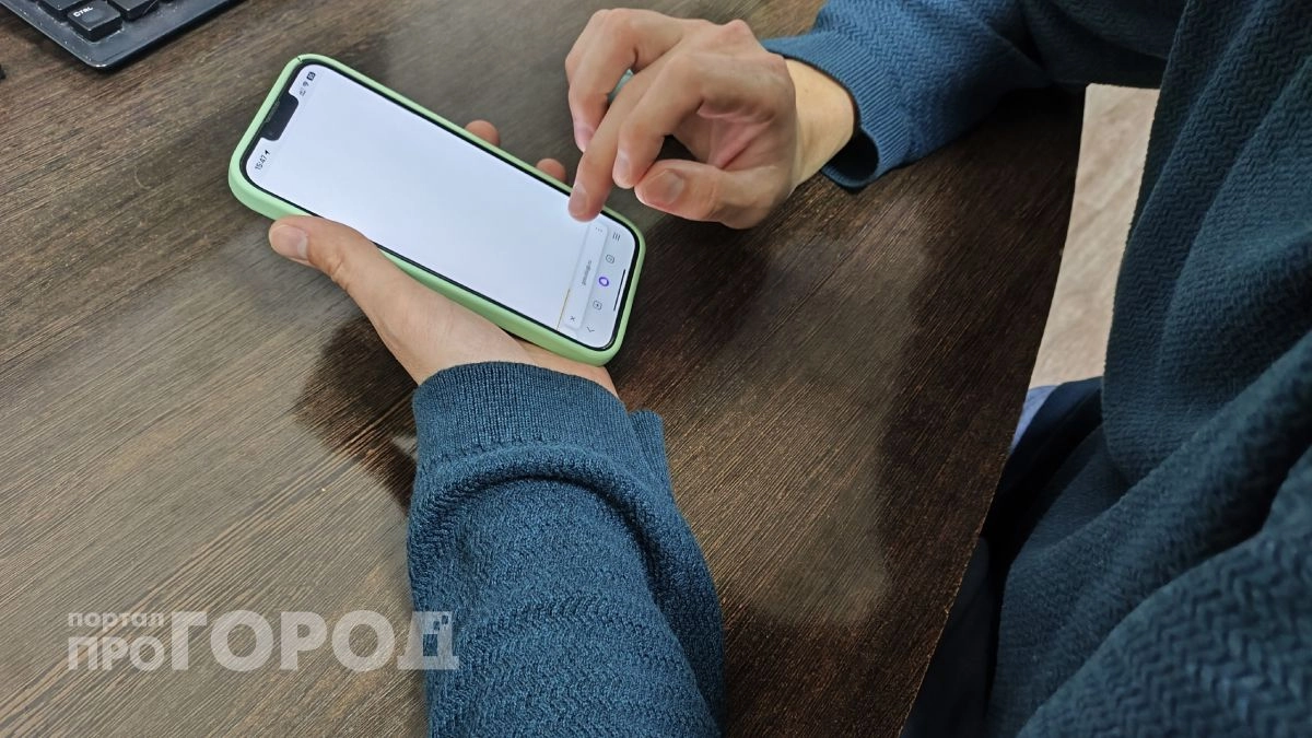 Двое жителей Чувашии отдали 90 тысяч за свидания с несуществующей путаной