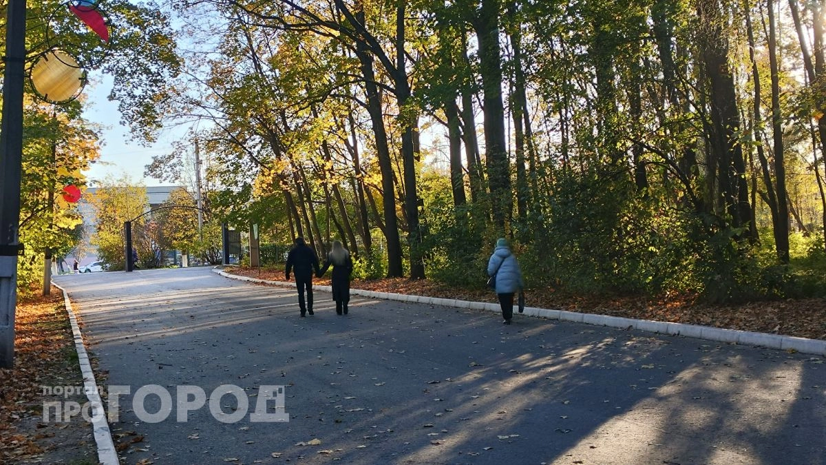 Куртки можно расстегнуть: сухая и теплая пятница ждет жителей Чувашии