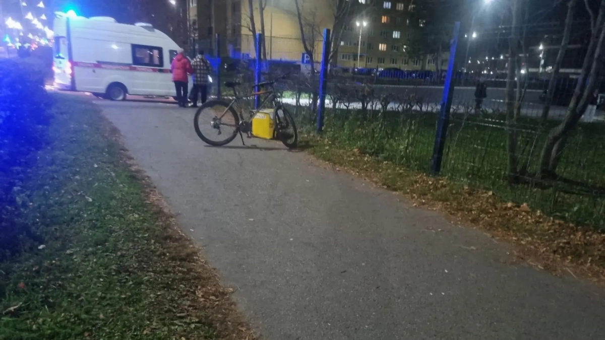 На Эгерском бульваре в Чебоксарах курьер на велосипеде сбил маленького пешехода