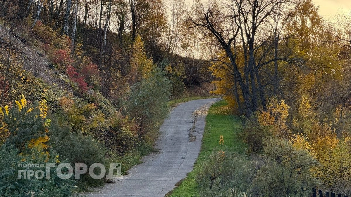МЧС Чувашии предупредило о растущей угрозе лесных пожаров до конца недели