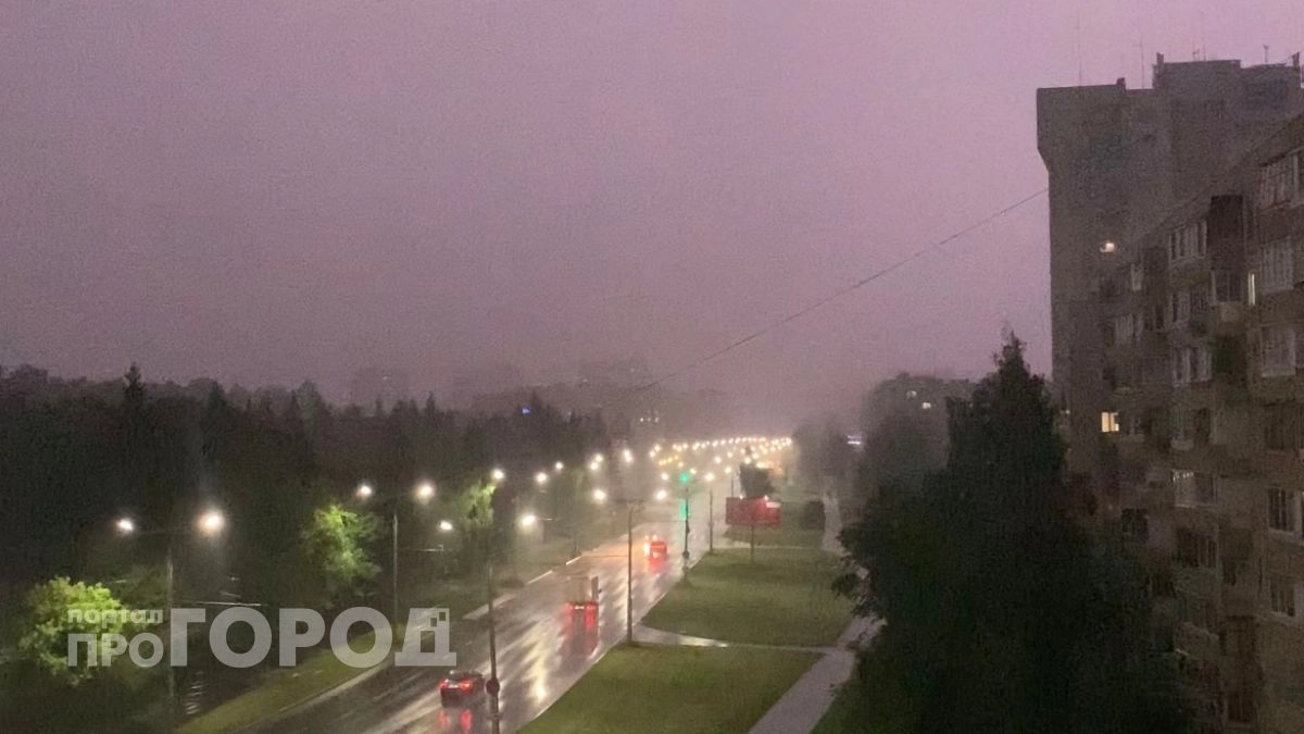 Чебоксарец судился с городскими властями из-за упавшего на машину дерева