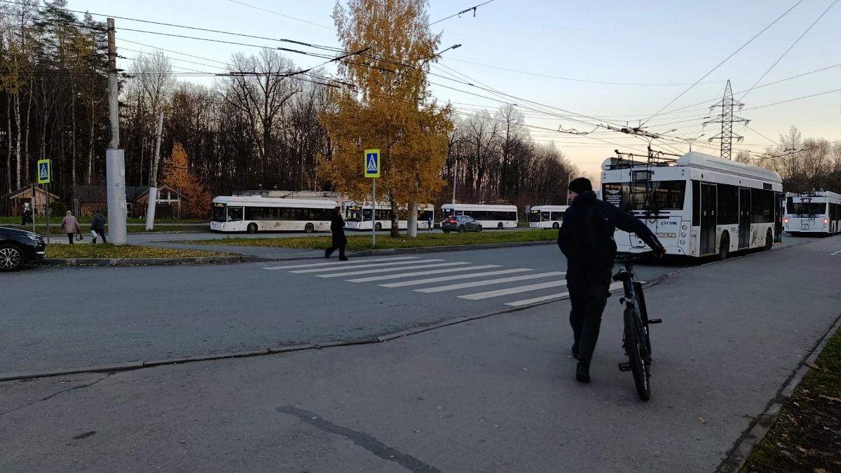Дневное тепло не спасет от заморозков ночью: прогноз погоды на вторник