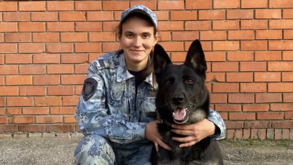 Служебная овчарка нашла в чебоксарской высотке пропавший электробайк школьника
