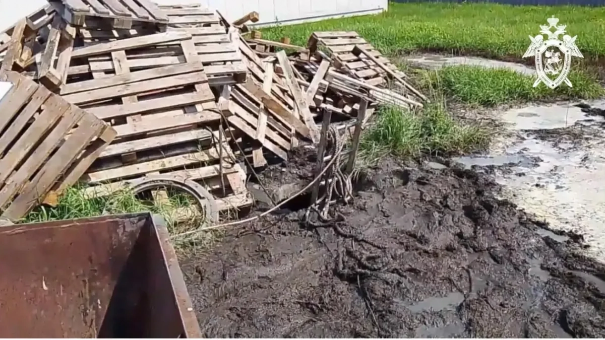 В Батыревском районе отдают под суд начальника свинокомплекса после гибели рабочего в выгребной яме