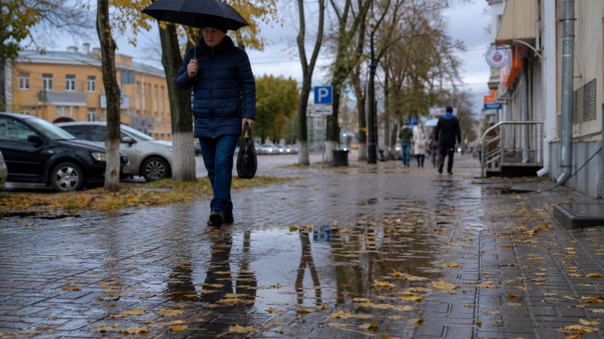 Скорпион вернется к старой теме, а Стрельцу улыбнется удача