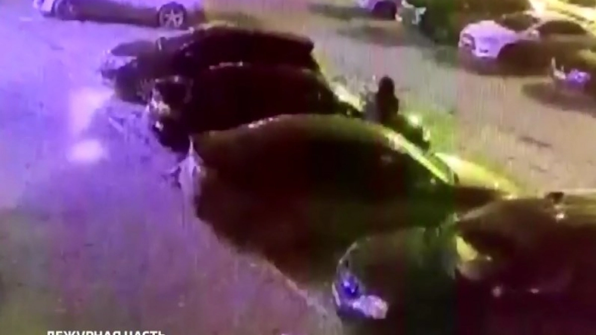 Пять человек замешаны в деле о поджоге Audi из-за ревности к бывшей жене