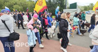 В Чебоксарах "Парад собак" собрал несколько сотен домашних питомцев