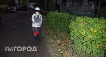 В Чебоксарах школьница потратила более миллиона рублей, покупая робуксы в игре 