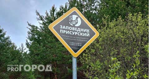 В чувашском заповеднике устроили облаву, чтобы поймать дерзких парней на квадроциклах 