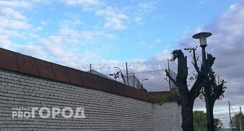 Парень из Чувашии отправится в колонию за выманивание интимных фото у школьницы и распространение детской порнографии