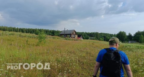 В Чувашии проснулись клещи: 27 укусов с начала сезона
