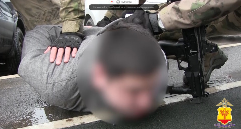 В Чувашии кибермошенники использовали более десятка тысяч сим-карт: преступников поймали
