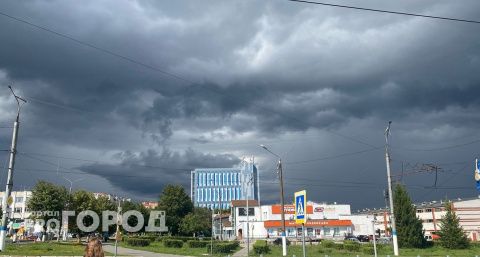 МЧС оповестило жителей Чувашии о порывистом ветре с грозой