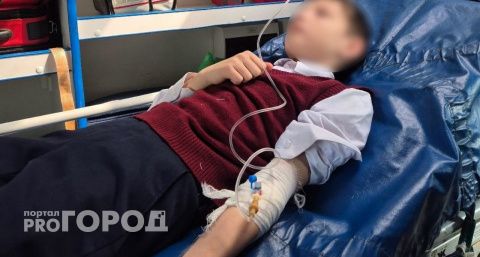 Управление образования Чебоксар ведет внутреннее расследование в гимназии № 5, где на пятиклассника напали одноклассники
