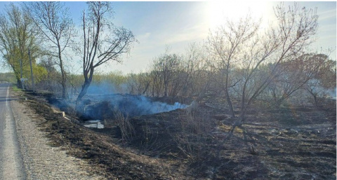 Прокуратура заинтересовалась ЧП, где горящая трава подожгла село в Чувашии
