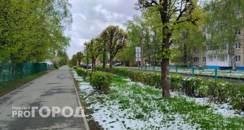 Черемуховые холода идут на Чувашию: ляжет снег и почувствуется мороз
