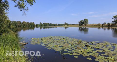 Девушка отдыхала у пруда в Чебоксарском районе и получила бутылкой по голове