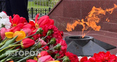 В Ленинградской области обнаружили останки бойца Великой Отечественной войны из Чувашии