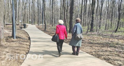 В Чувашии в ночь на понедельник подморозит, но днем вернется плюсовая температура