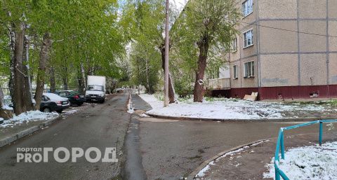 Зима ворвалась в Чувашию и показала всем цветущие деревья в снегу: когда вернется весеннее тепло