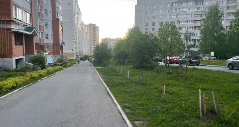 Май подложит свинью: конец весны принесет аномальную температуру