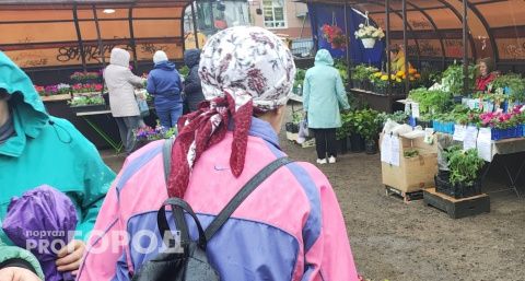 Чебоксарская пенсионерка лишилась сбережений, мечтая заработать на криптовалюте