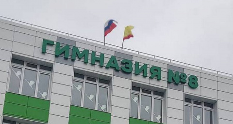В больницу обратилось более 30 учеников шумерлинской гимназии