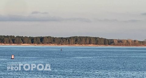 Чувашия вошла в топ-3 регионов с наибольшим количеством нарушений в рамках "Оздоровления Волги"