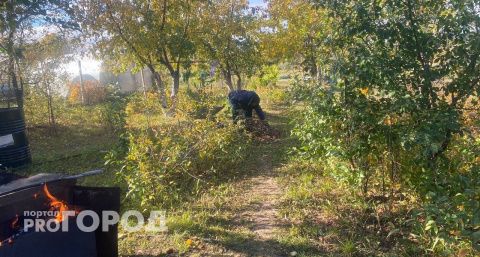 В Чувашии оштрафовали более 70 жителей: жгли траву и не убирали свои участки от сухостоя