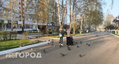 Больше 50 беременных студенток в Чувашии уже получили по 100 тысяч рублей 