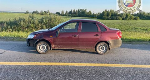 В Чувашии на М-7 Lada Granta сбила лося: "Это нетипичное место выхода зверей"