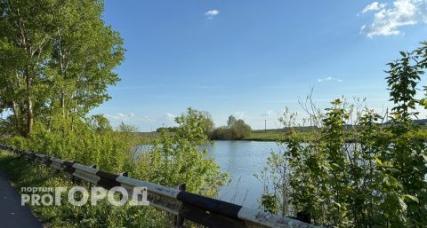 В Чувашии второй день ищут 42-летнюю женщину: ушла и не вернулась