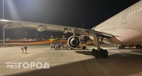 Самолет, летевший в Чебоксары из Минеральных вод, атаковала птица