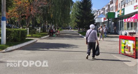Пенсионерка из Чебоксар испугалась тюремного срока в 20 лет и отправила все свои сбережения на чужие счета