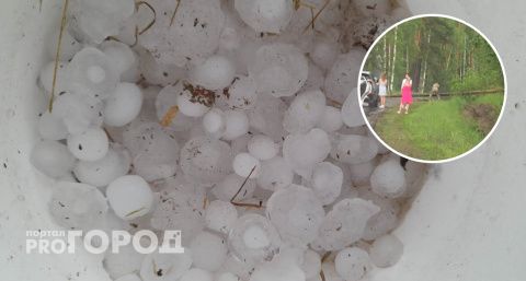 Огромные градины бьют окна, а ветер валит деревья: Чувашия столкнулась с агрессивной непогодой