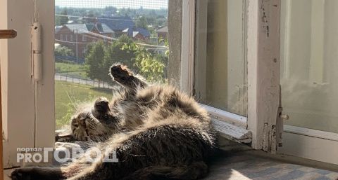 На фоне застоя на вторичном рынке квартиры в Чебоксарах дорожают 