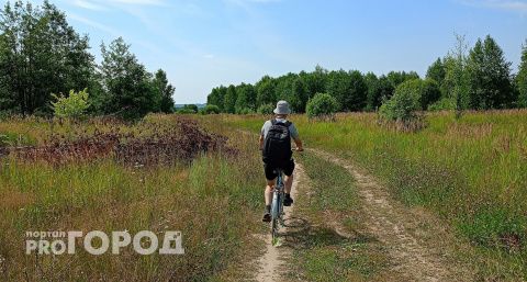 МЧС предупредило жителей Чувашии на четыре дня вперед